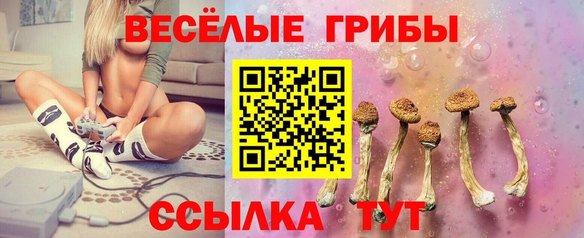 Сатка  где можно купить   Вход с VPN  Галлюциногенные грибы прущие грибы 